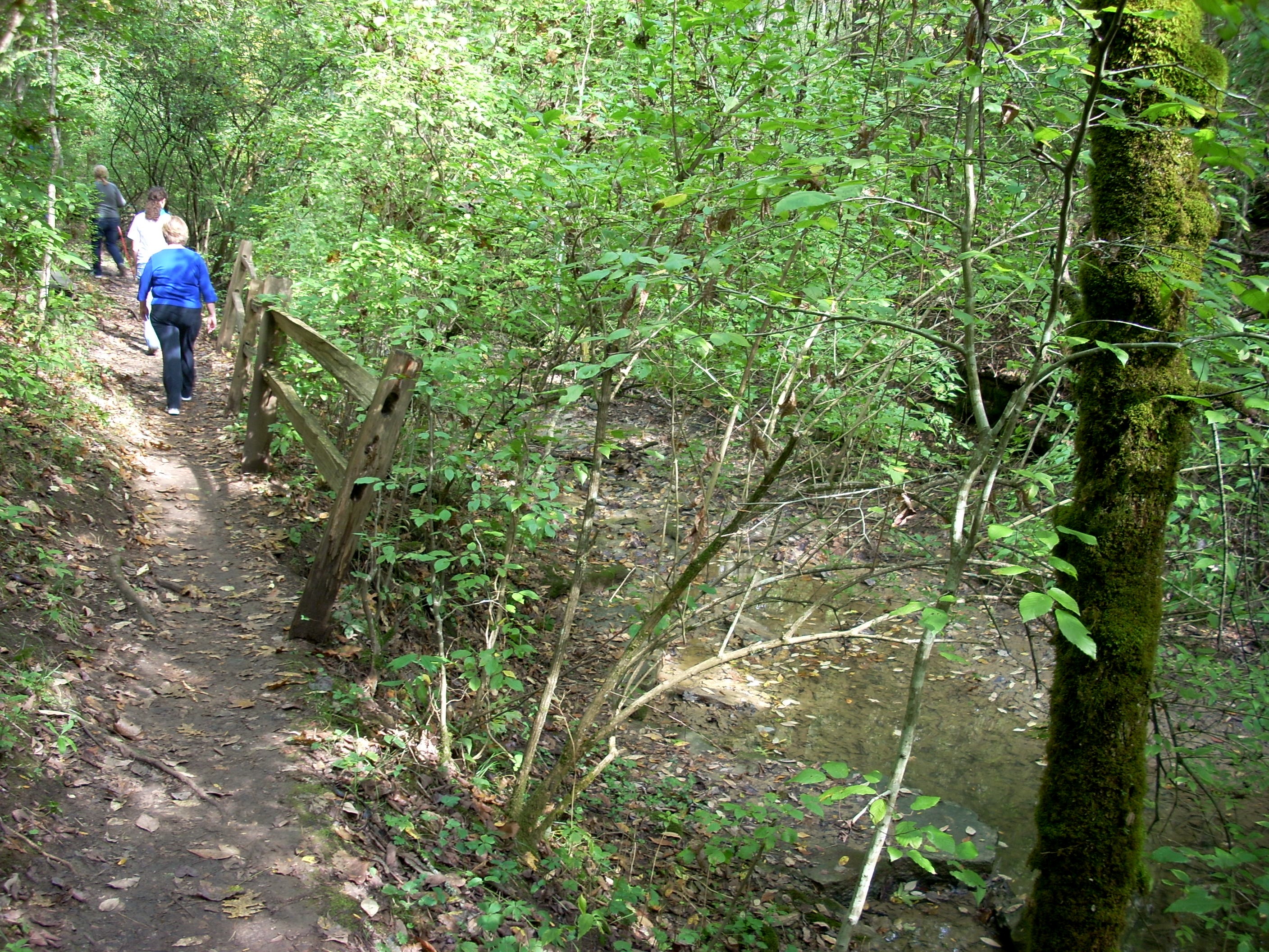 Raven Run Chandler Creek